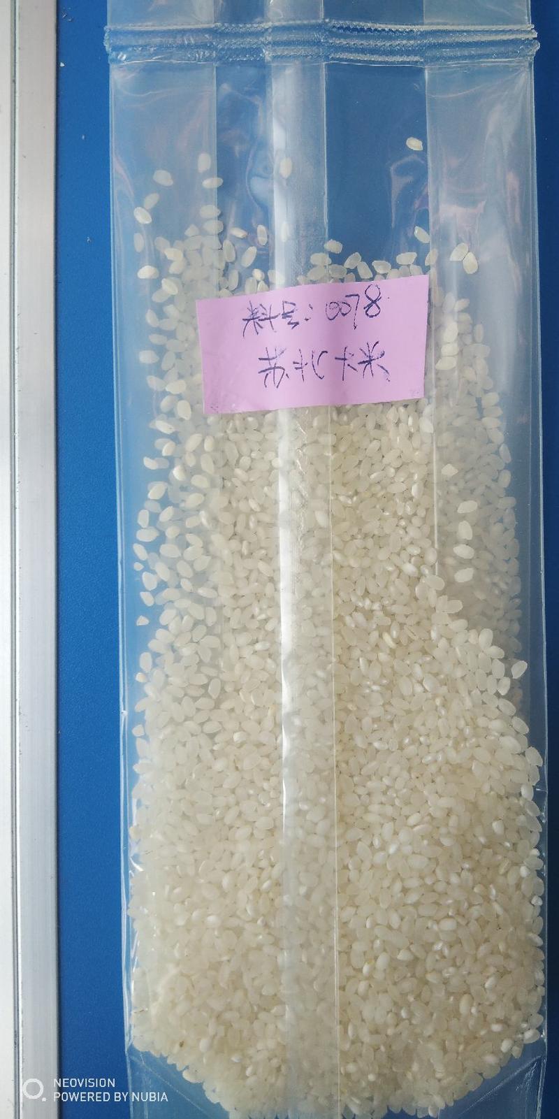 崇明软香米苏北大米苏北梗米商超用米团膳用米