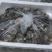 平菇精品大量供应产地直销，适合各大超市，商场，市场！