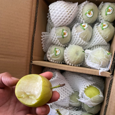 （爆品）新疆库尔勒香梨🍐口感酥甜电商超市专供