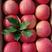 易县狼牙山晚熟红富士苹果！狼牙山优质水果基地，产地直供！