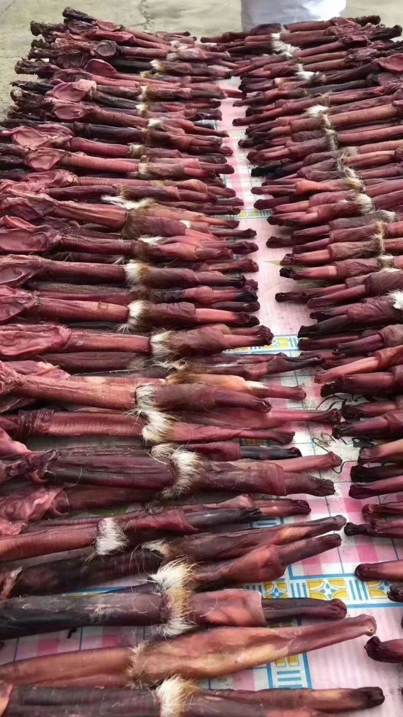 吉林双阳鹿场东北发情期种鹿鞭整支泡酒红烧量大从优