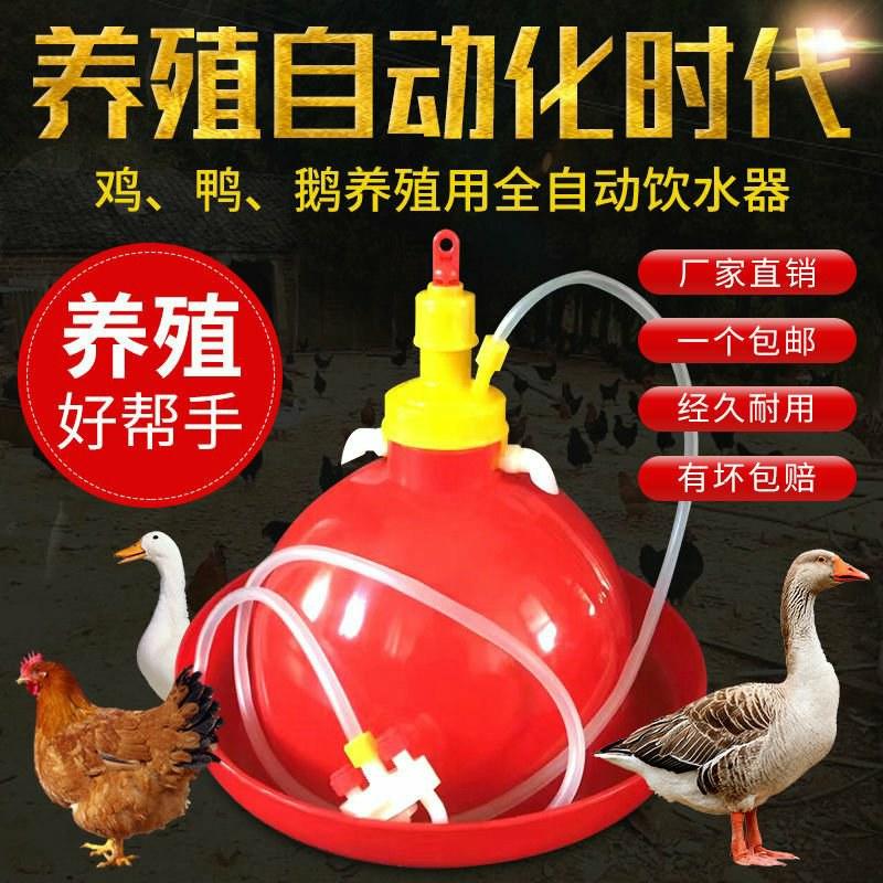 鸡笼鸡用饮水器养鸡料桶饲鸡塑料水壶