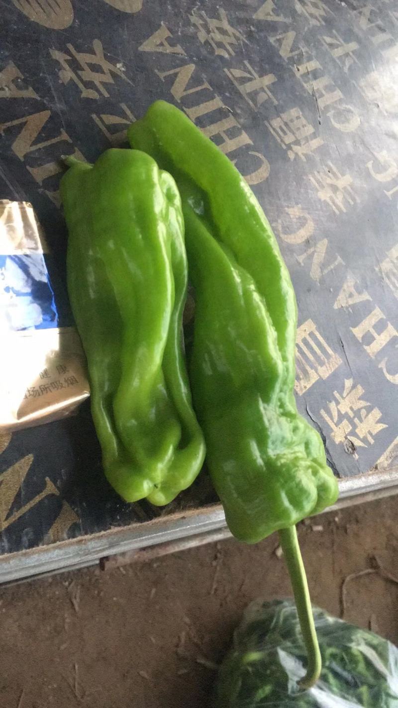 精品薄皮产地直发品质保证量大从优一手货源欢迎联