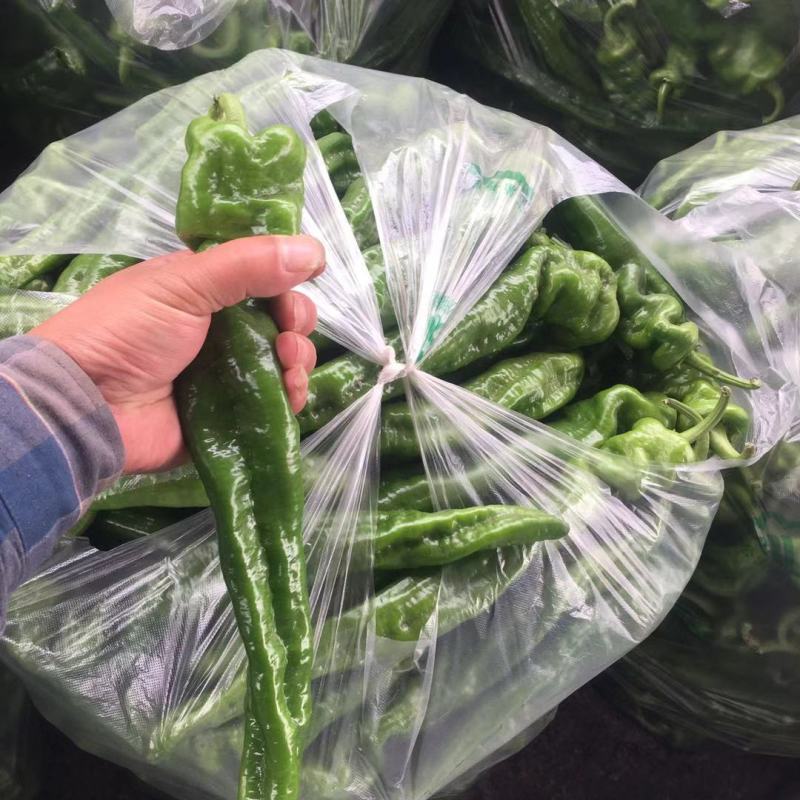 精品薄皮产地直发品质保证量大从优一手货源欢迎联