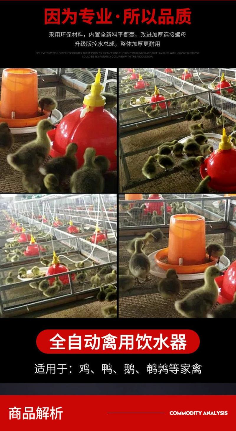养殖设备加厚普拉松养鸭鹅鸡用自动饮水器喂水器加水壶养鸡养