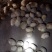 陕北喂牛羊的土豆，无沙，无烂。淀粉含量高。