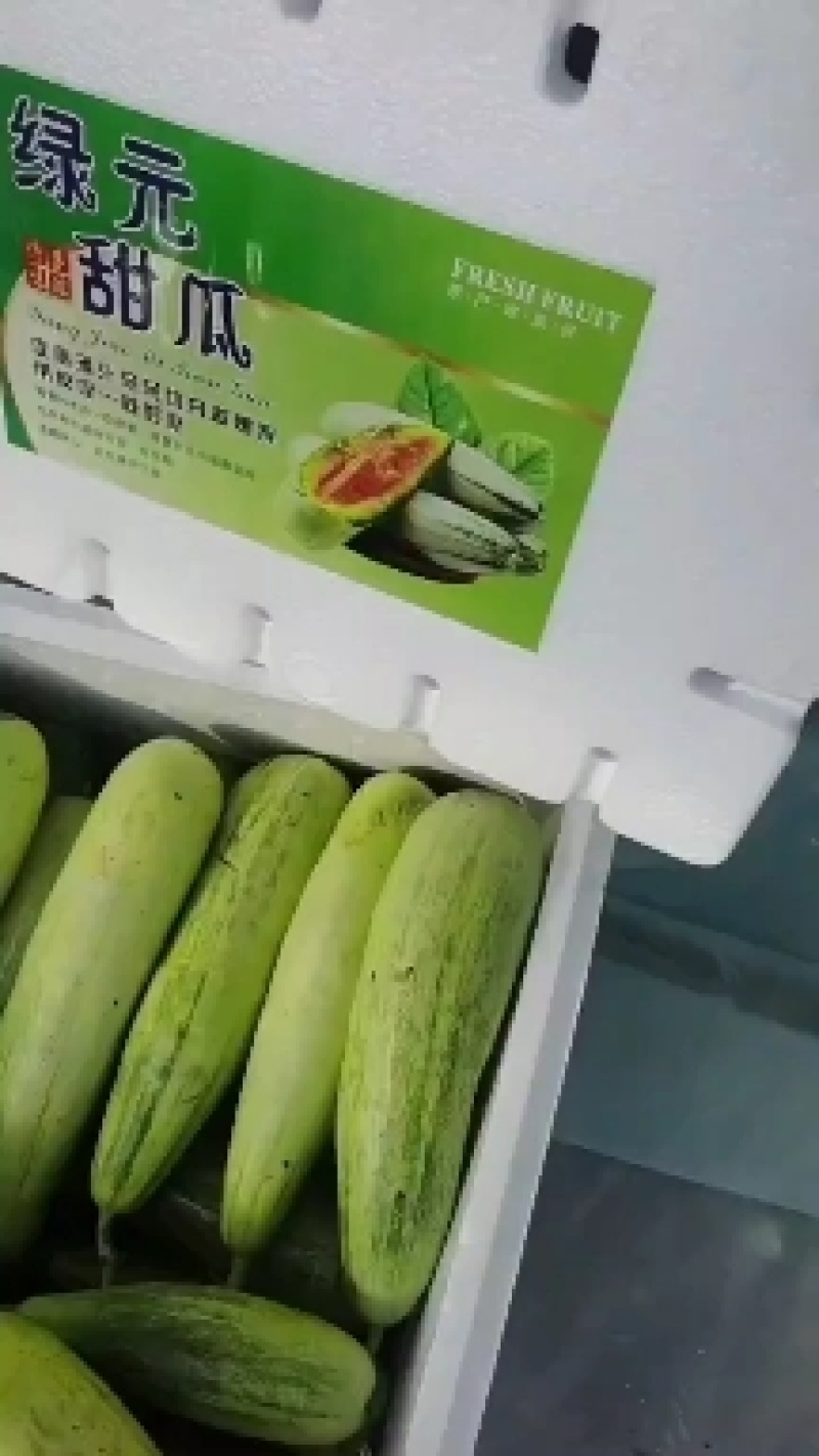 博洋甜瓜
