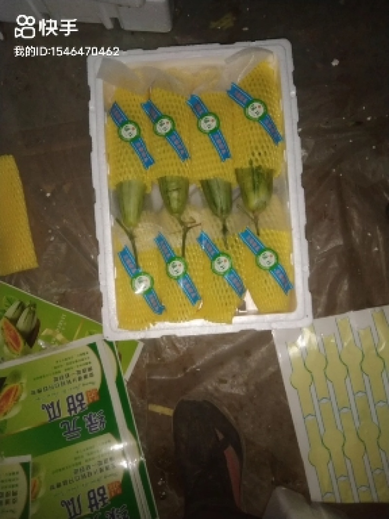 博洋甜瓜