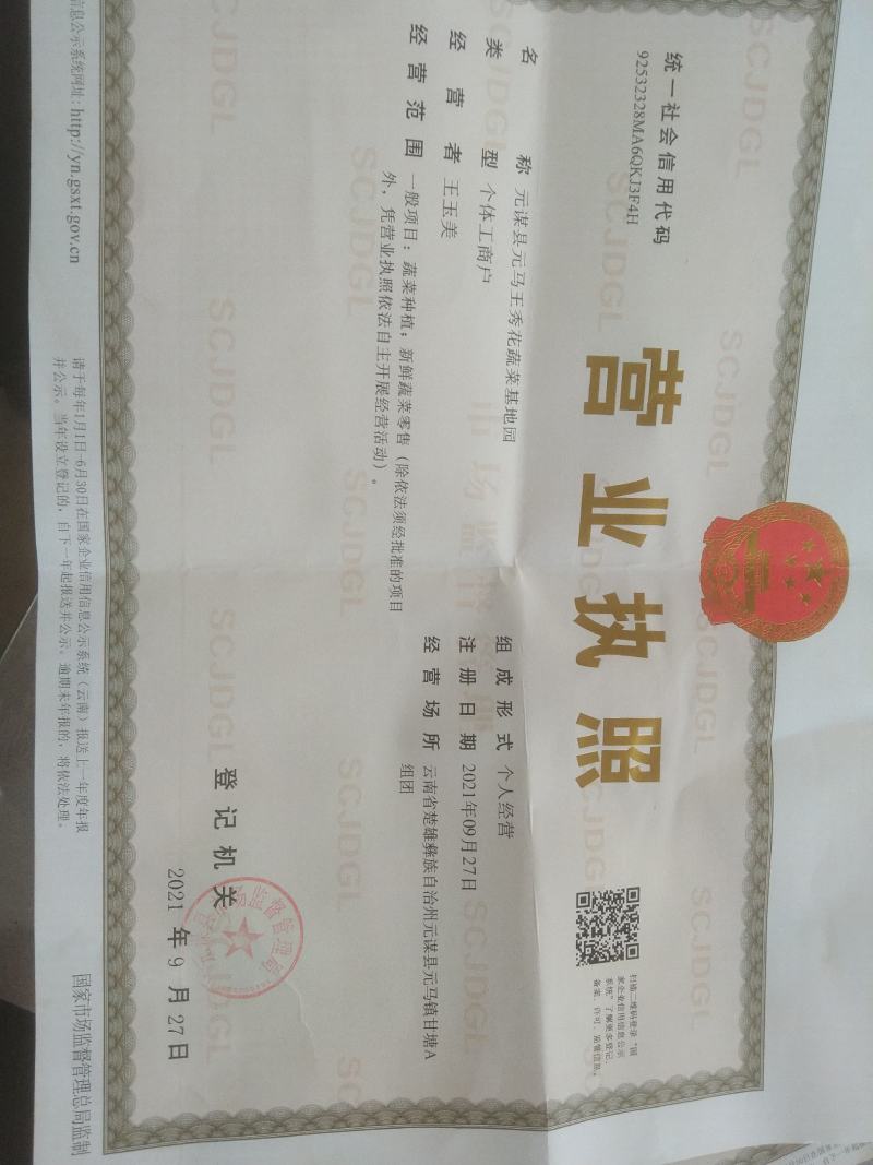 博洋甜瓜