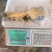 保鲜参促销各种规格，保证质量，2022年新货，可配礼