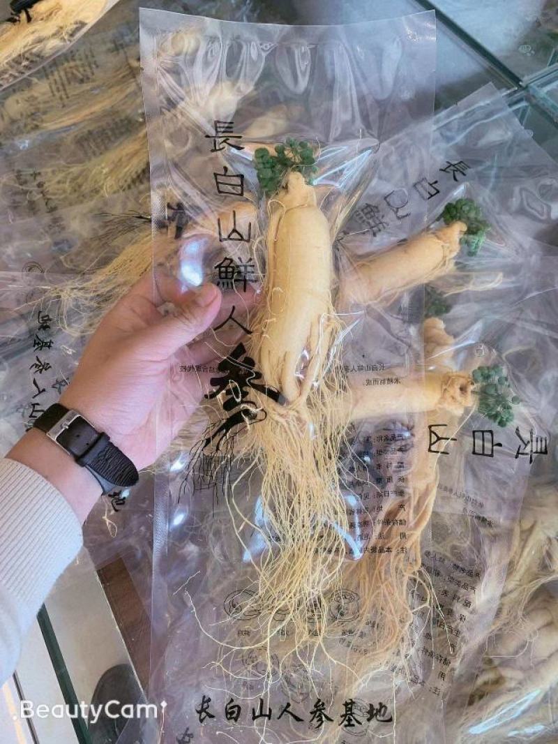 保鲜参促销各种规格，保证质量，2022年新货，可配礼