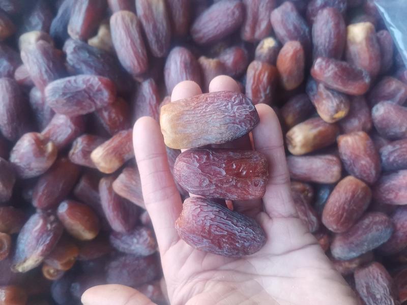 （包邮）沙漠椰枣，新疆乌鲁木齐发货，中通包邮