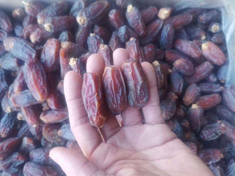 （包邮）沙漠椰枣，新疆乌鲁木齐发货，中通包邮
