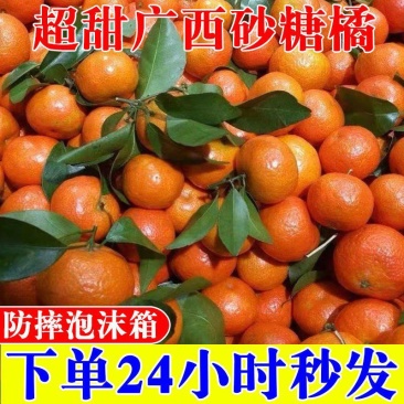 【防摔泡沫箱】正宗沙糖桔应季水果新鲜现摘砂糖桔薄皮包邮