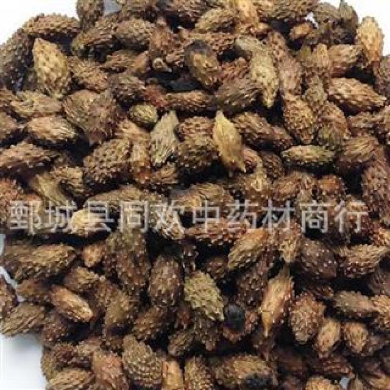 【炒苍耳子】@【同欢药材】中药材批发供应规格齐全