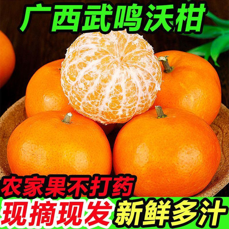 【支持一件代发】【爆卖】广西正宗武鸣沃柑新鲜水果薄皮桔子