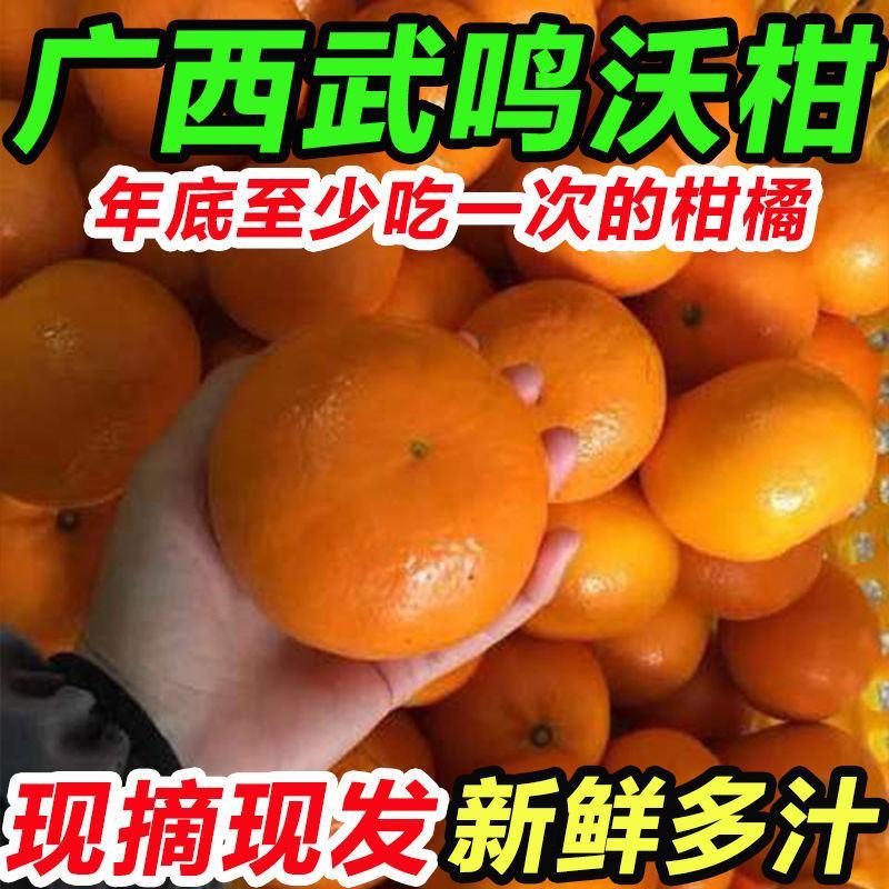 【支持一件代发】【爆卖】广西正宗武鸣沃柑新鲜水果薄皮桔子