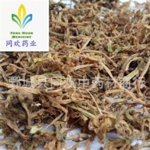 【好统货垂盆草】@【同欢药材】中药材批发供应