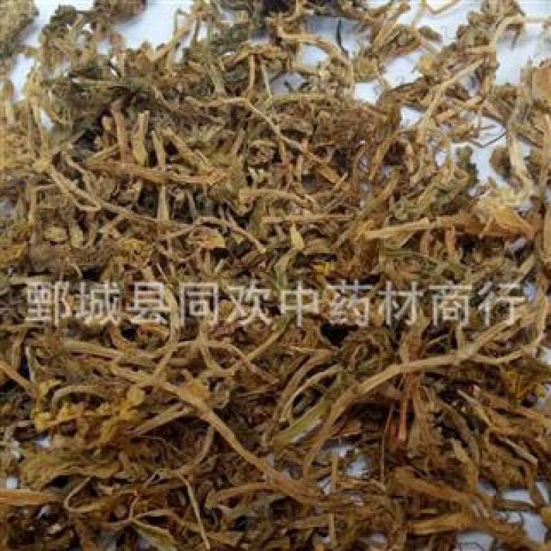 【好统货垂盆草】@【同欢药材】中药材批发供应