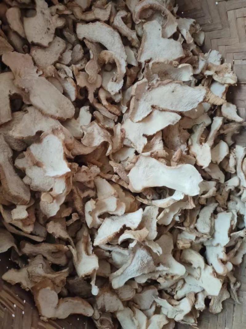 川黄精干片，江型不倒苗川黄精片，黄精个子