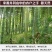 2021笋干干货嫩笋尖农家自制井冈山小笋干嫩竹笋嫩笋片新