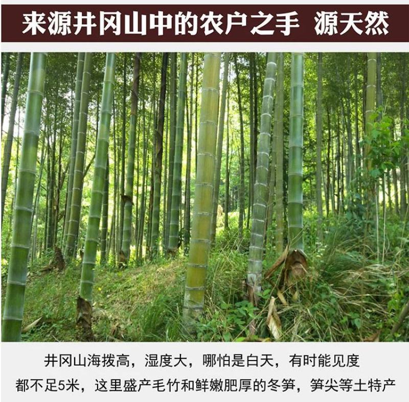 2021笋干干货嫩笋尖农家自制井冈山小笋干嫩竹笋嫩笋片新