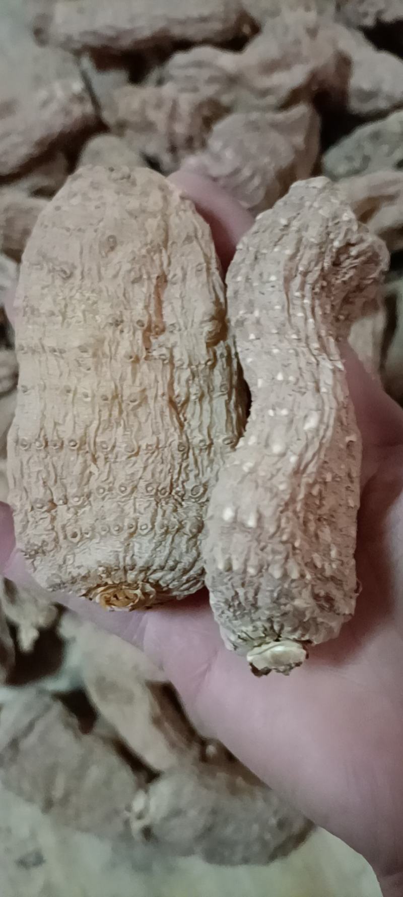 云南昭通小草坝，原皮超细天麻粉，产地直发，欢迎联系