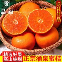 【产地销】浙江临海涌泉蜜橘蜜桔新鲜橘子当季桔子水果