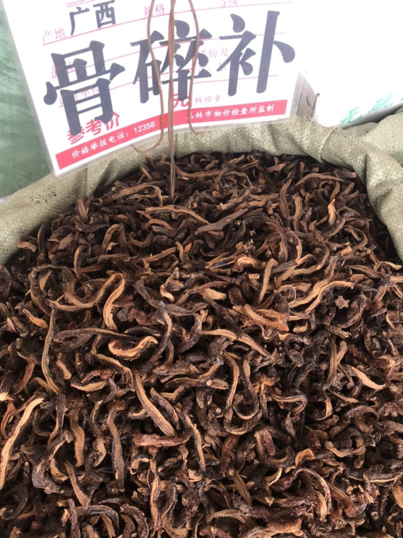 骨碎补