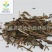 【冬凌草】@【同欢药材】中药材批发供应规格齐全