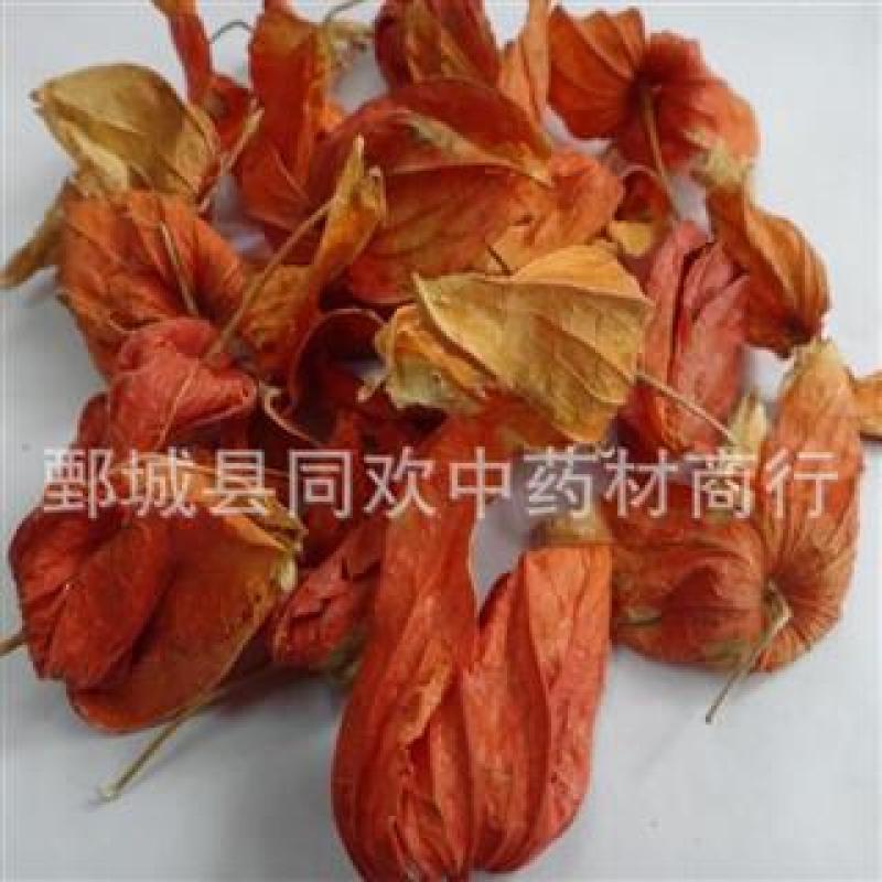 【锦灯笼好统货】@【同欢药材】中药材批发供应