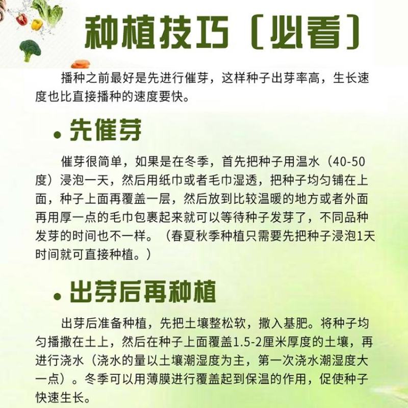 薄荷盆栽可食用留兰香苗驱蚊草室内植物水培薄荷叶柠檬香蜂草