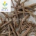 【独一味根】@【同欢药材】中药材批发供应规格齐全