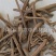 【独一味根】@【同欢药材】中药材批发供应规格齐全