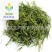 【竹叶青】@【同欢药材】中药材批发供应规格齐全