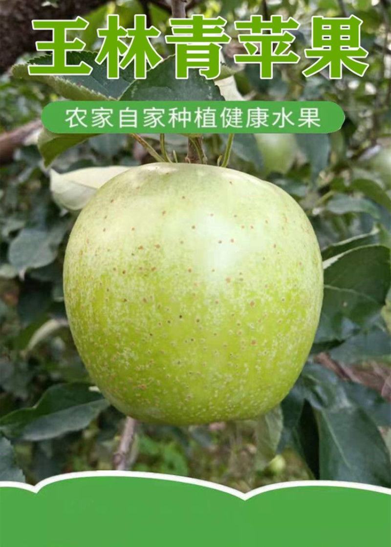 正宗王林苹果青苹果日本青森丑苹果当季新鲜水果脆甜现摘