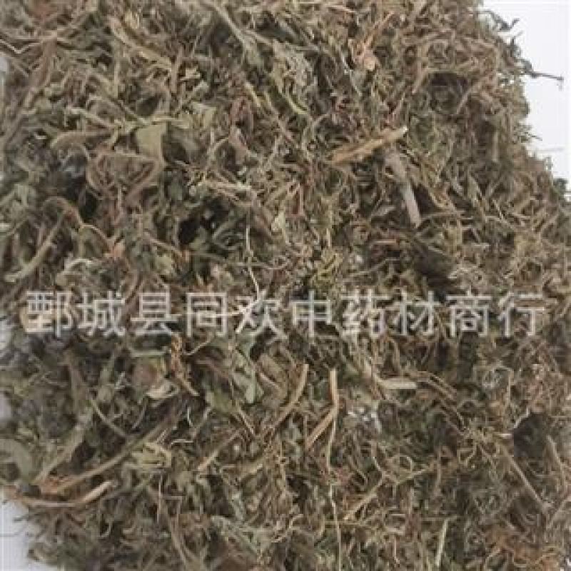 【鹅不食草】@【同欢药材】中药材批发供应规格齐全