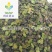 【青浮萍】@【同欢药材】中药材批发供应规格齐全量大从优