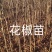 花椒苗