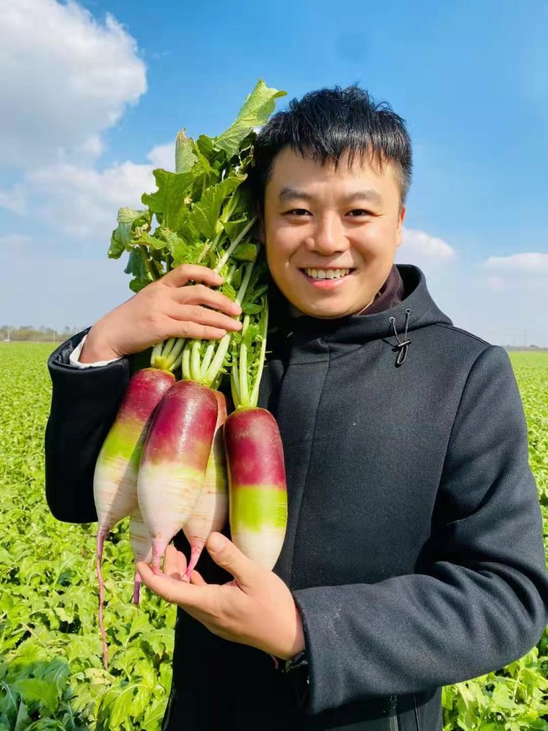 糖心水果萝卜