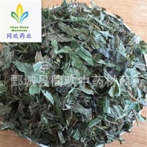 【凤尾草】@【同欢药材】中药材批发供应规格齐全