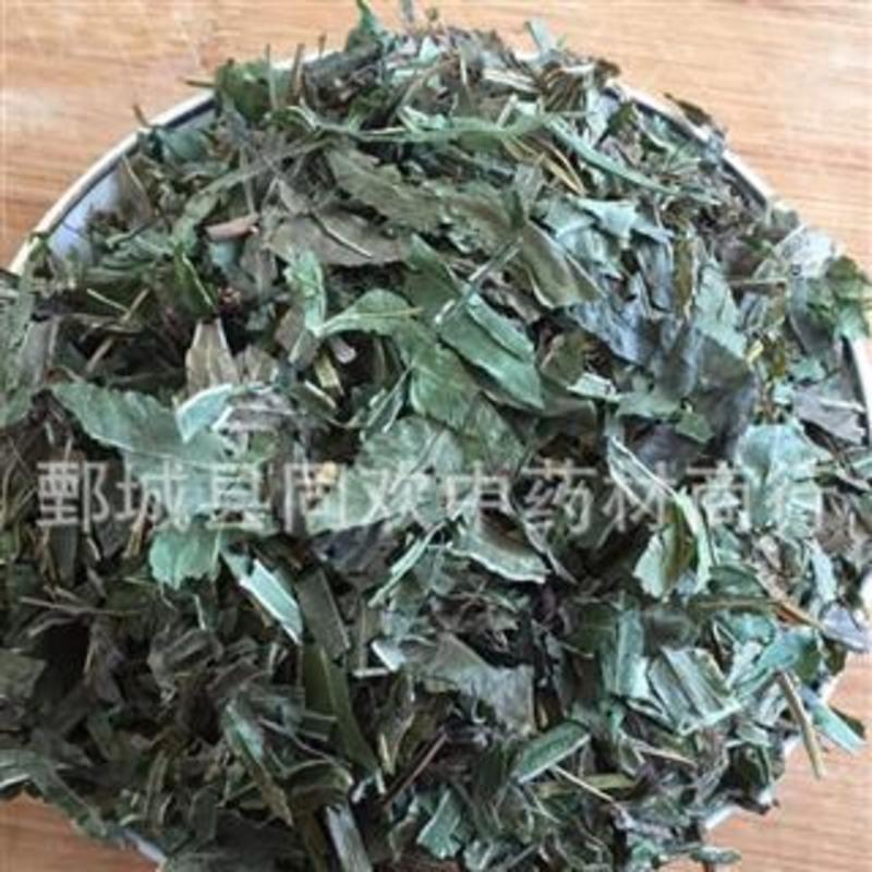 【凤尾草】@【同欢药材】中药材批发供应规格齐全