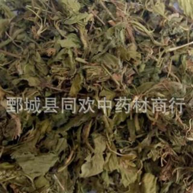 【紫花地丁】@【同欢药材】中药材批发供应规格齐全