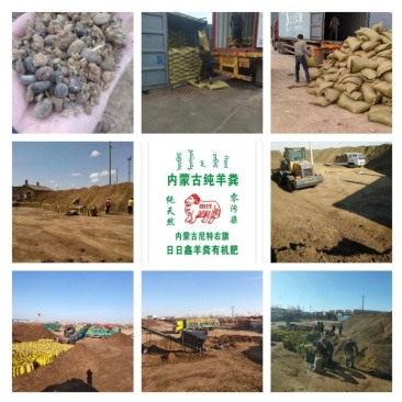 羊粪，内蒙古苏尼特纯原发酵羊粪，装袋，散装都可以。干羊粪