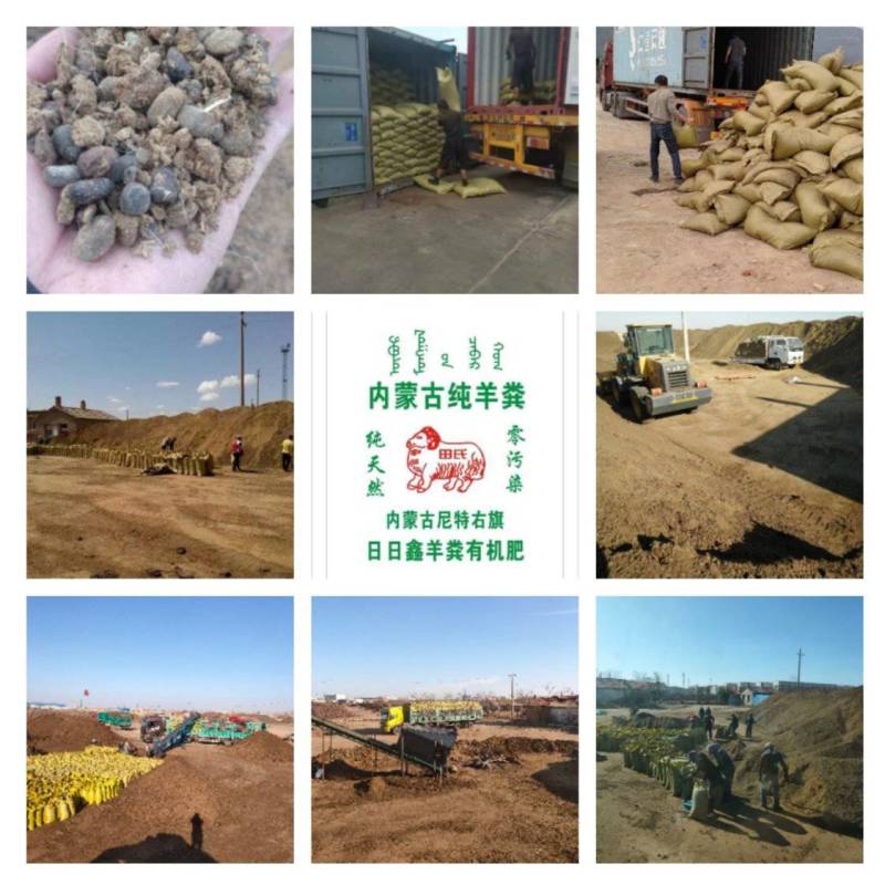羊粪，内蒙古苏尼特纯原发酵羊粪，装袋，散装都可以。干羊粪