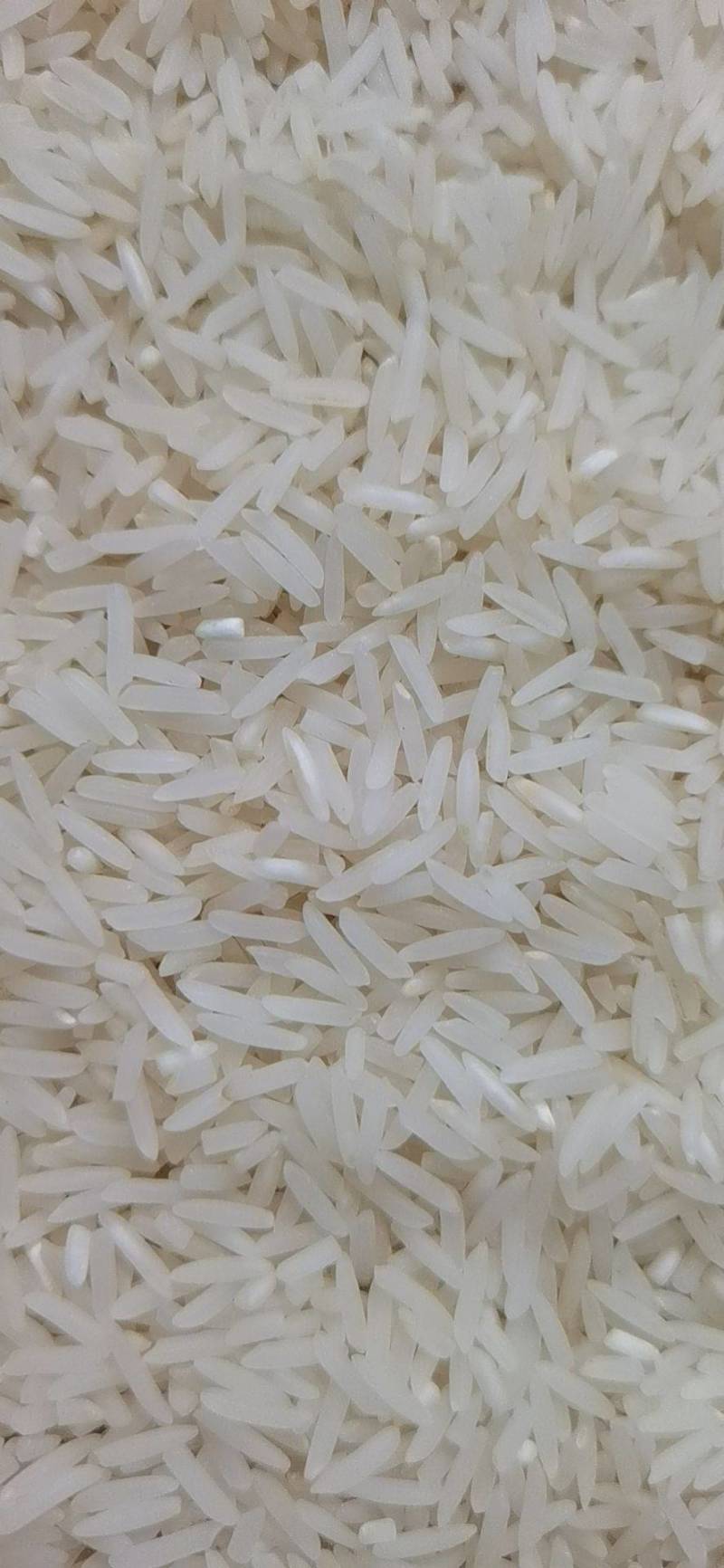 野香优莉丝，晚稻自产自销