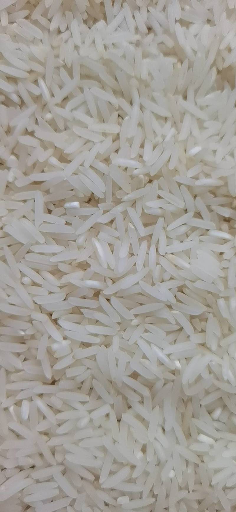 野香优莉丝，晚稻自产自销