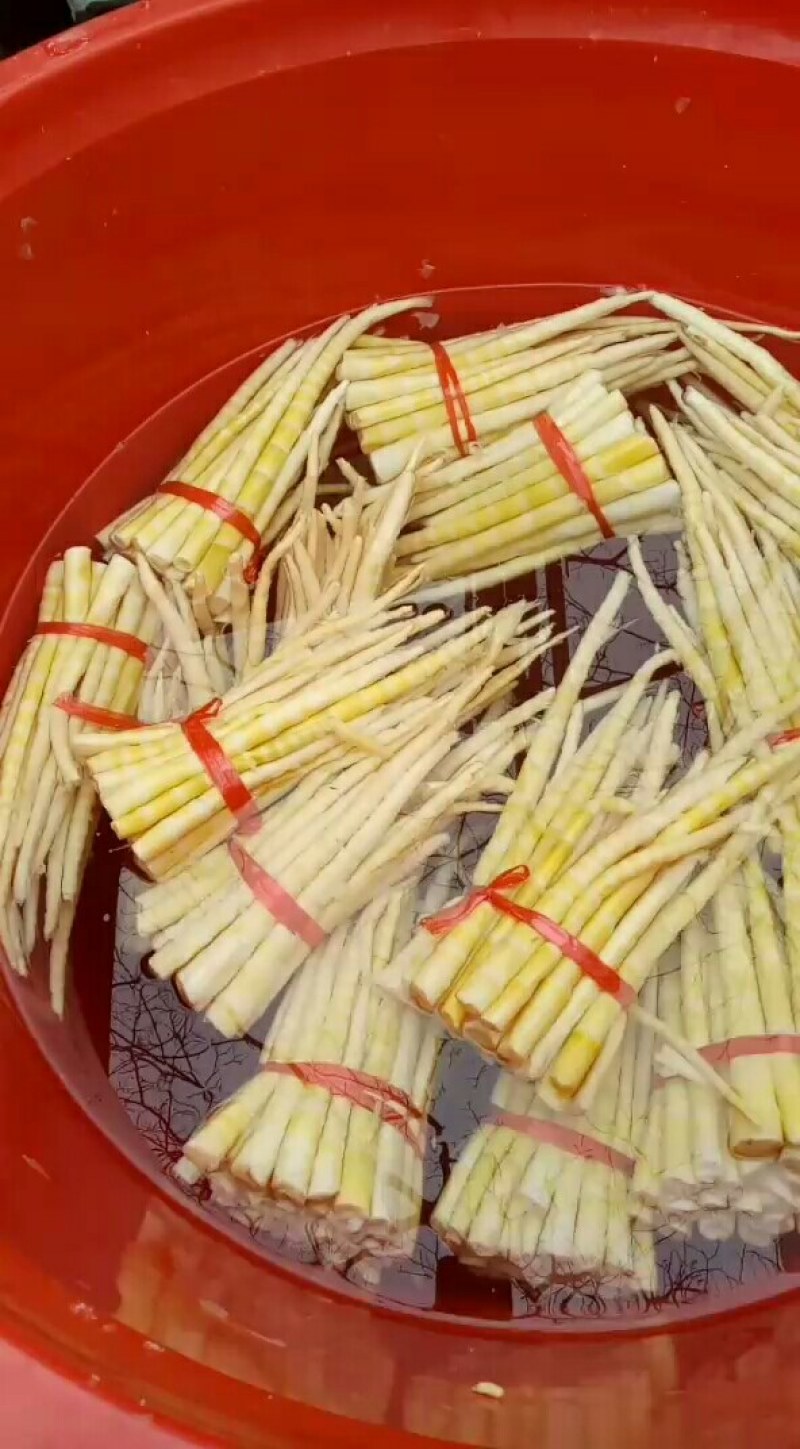 小竹笋上市，高山野生蔬菜，口感清甜脆口，欢迎选购