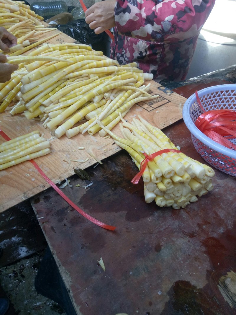 小竹笋上市，高山野生蔬菜，口感清甜脆口，欢迎选购