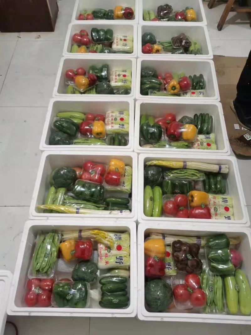 礼品菜，民用菜，专业打包各种礼品菜，精品蔬菜套盒